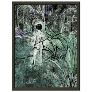 Original Image