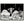 Text watermark