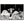 Text watermark