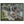 Text watermark