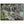 Text watermark