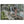 Text watermark