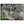 Text watermark