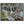 Text watermark