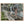 Text watermark