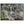 Text watermark