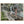 Text watermark