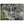 Text watermark