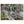 Text watermark
