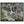 Text watermark