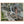 Text watermark