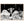 Text watermark