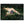 Text watermark