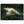 Text watermark