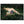 Text watermark