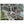 Text watermark