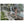 Text watermark