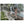 Text watermark