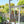 Text watermark