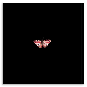 8017ded5-5dd8-4be1-ab61-b0861e4f6ed2