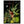 e7795715-cec8-47ba-99c5-3281e032aab2